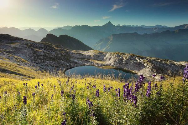 Sommerliche Bergaufnahme mit Bergsee im Vordergrund