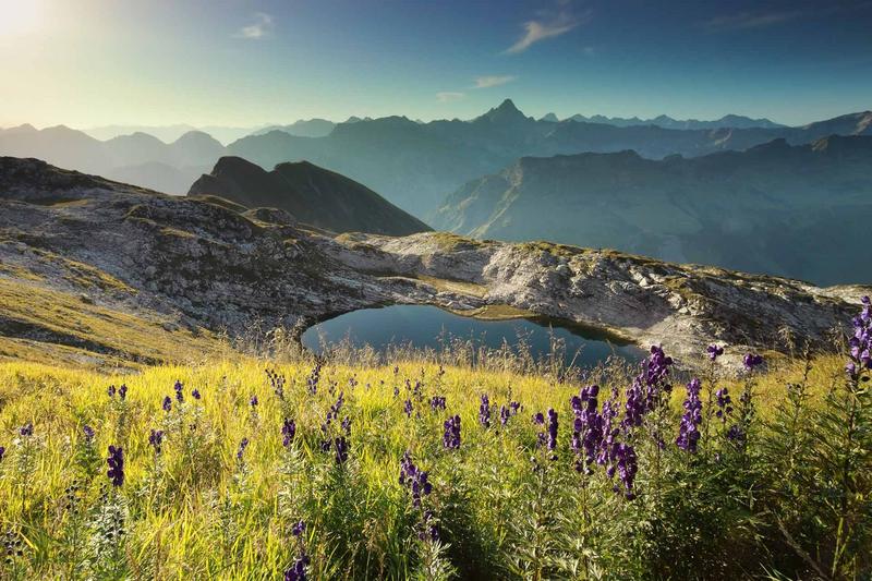 Sommerliche Bergaufnahme mit Bergsee im Vordergrund