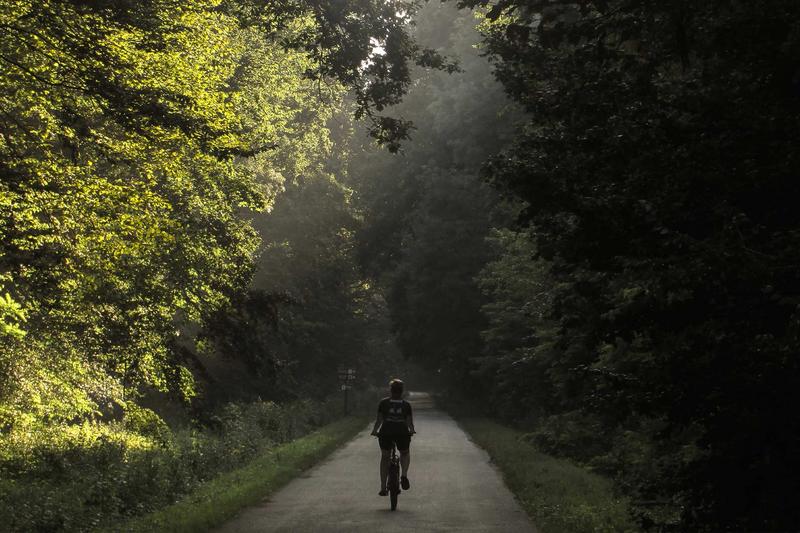 Ein Fahrradfahrer fährt durch den Wald