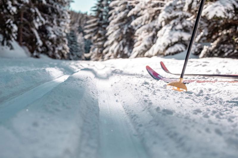 Langlaufskie auf einer Langlaufloipe