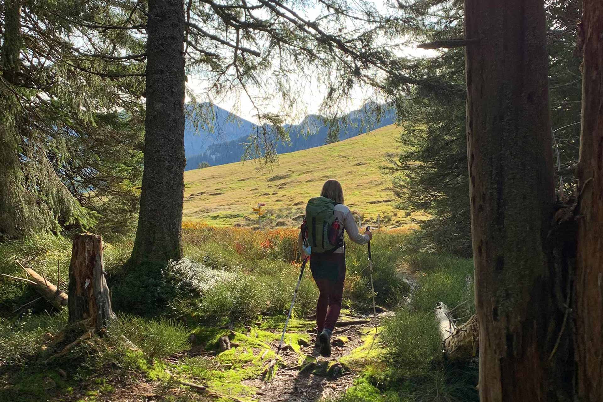 Eine Wanderin im Wald